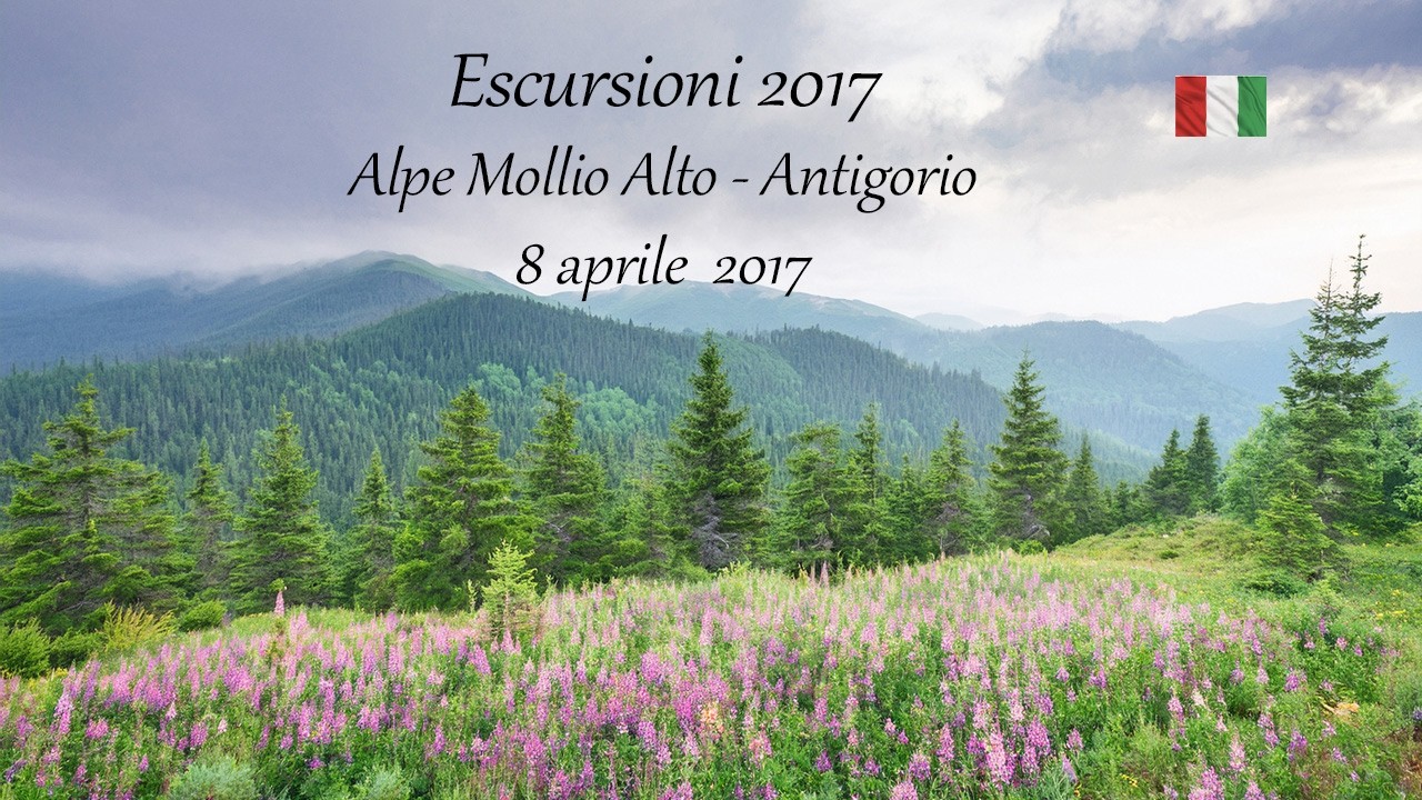 2017 6 Alpe Mollio Alto 8 aprile 2017