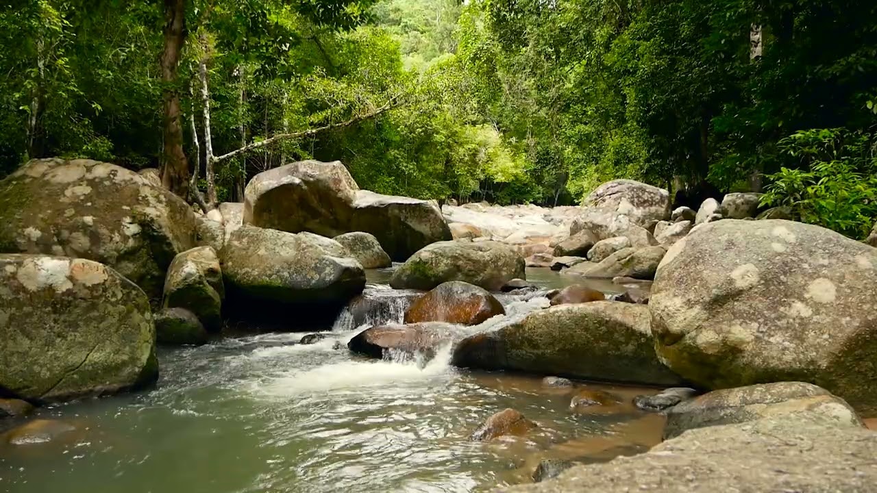 4K Deep Forest River - 2 Hours Relaxing Nature Sounds for Meditation & Sleep