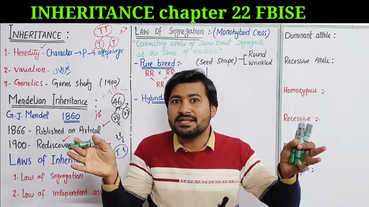 Mendel Law of Inheritance | Mendel Law of segregation Fbise biology class 12 chapter 22