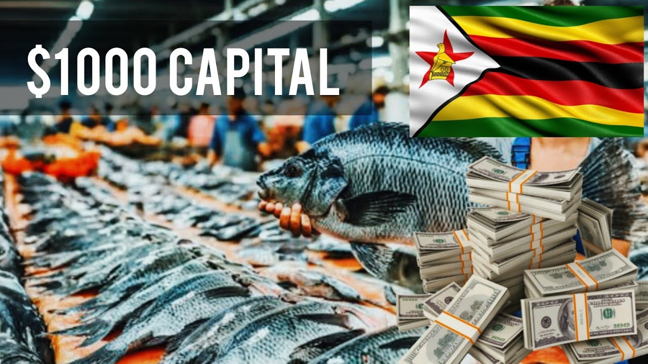 How Much Can You Make from Tilapia Fish Farming in Zimbabwe Starting with $1,000 Capital
