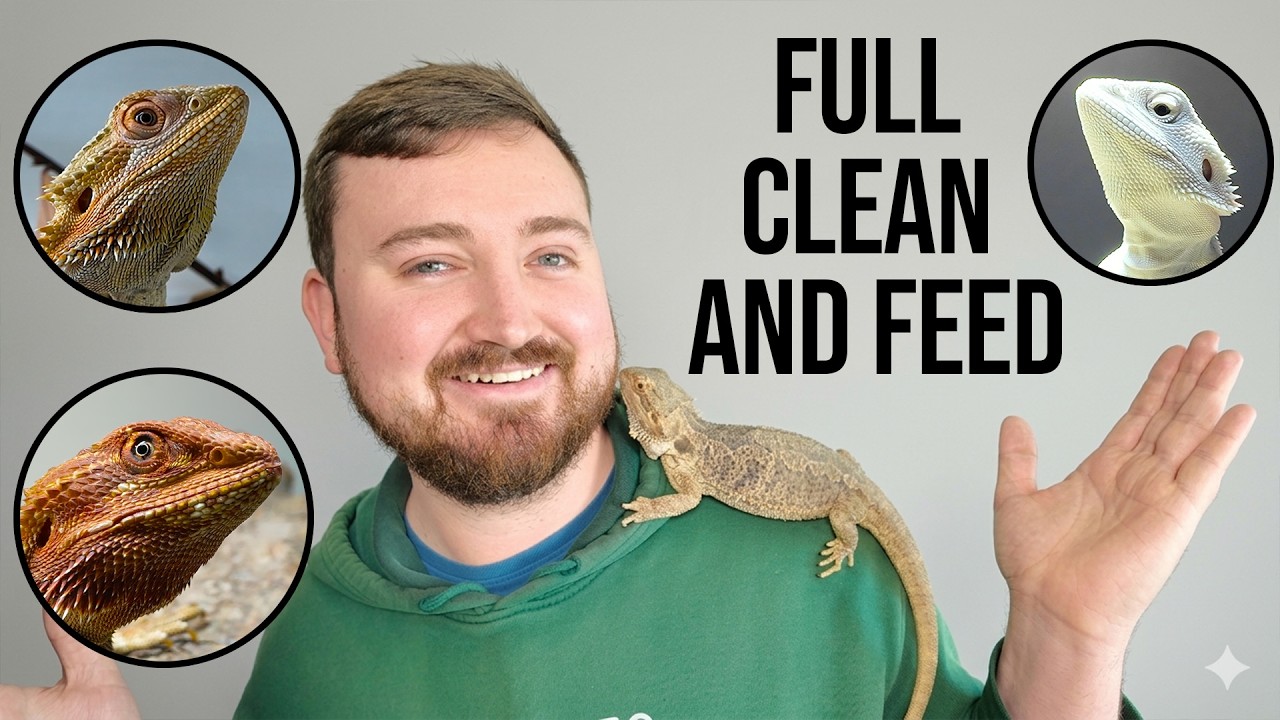 Позаботьтесь вместе со мной о доме, полном драконов.