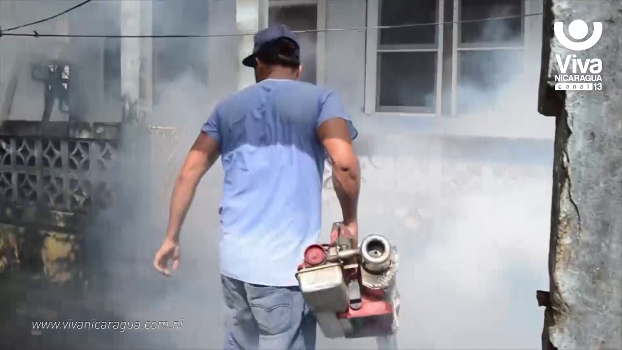 Bluefields batalla contra el mosquito a través del ejército celeste