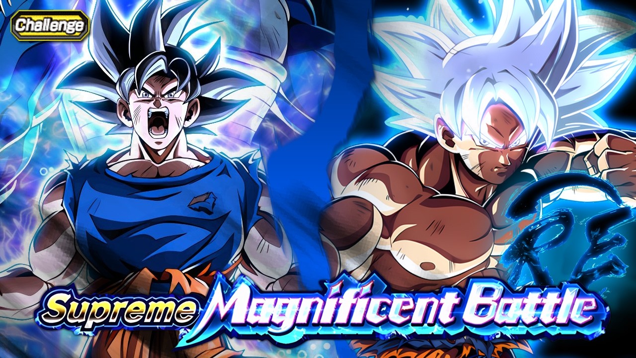 TOURNAMENT PARTICIPANTS MISSION VS. GOKU & VEGETA! UNIVERSAL SURVIVAL SAGA SMB: RE! Dokkan Battle