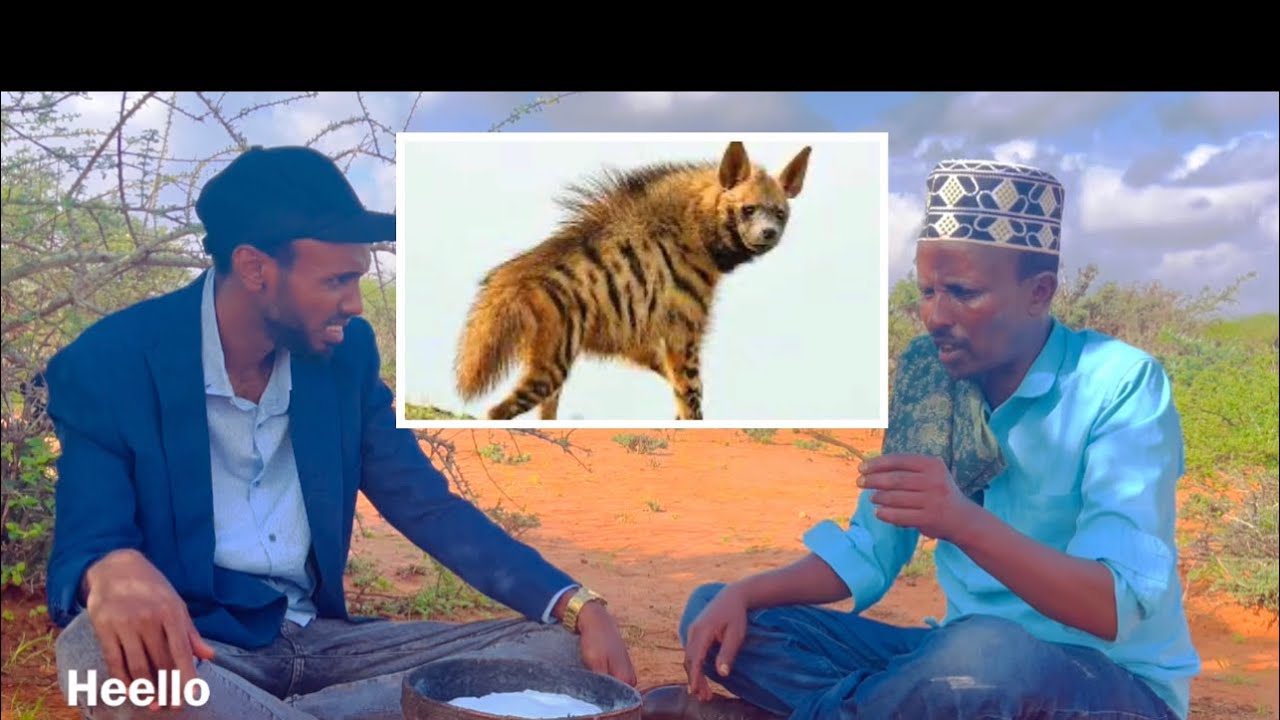 Weli dhidar,ama weere habeen ma ku daba galay