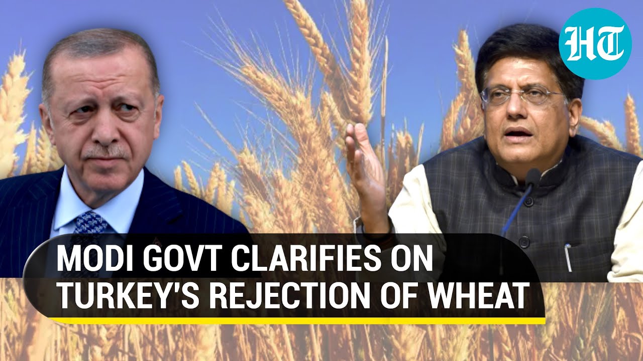 Modi govt rejects Turkey's charge on wheat quality; Piyush Goyal says shipment was for Netherlands