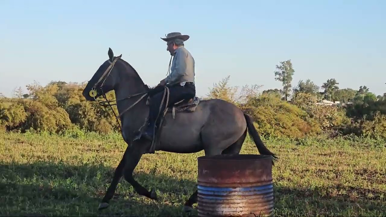 😱‼️CABALLO PELIGROSO Y DURO DE BOCA/ 😱 INCREÍBLE  TRANSFORMACIÓN ✅️#caballos
