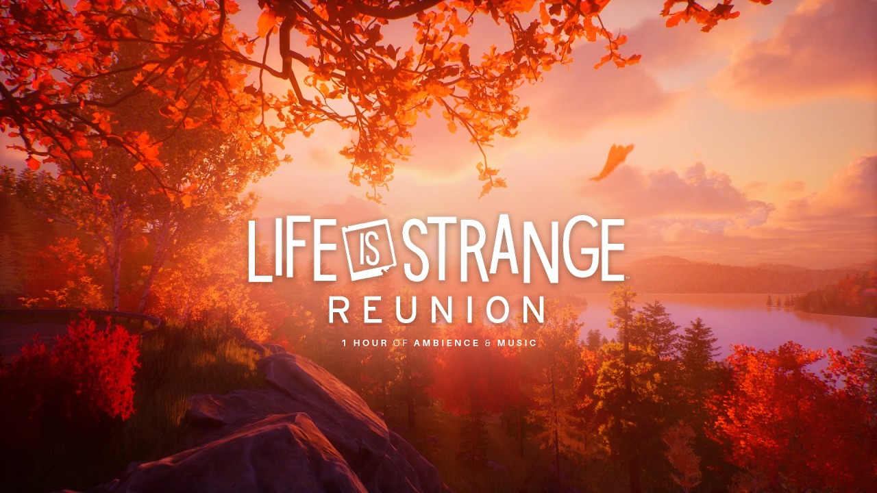 Life is Strange: Reunion | Scenic Overlook 🍂1 hour of ambience & music 🎵