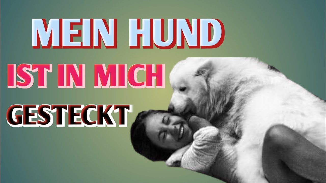 Mein Hund und ich haben etwas Unerwartetes getan, während mein Mann weg war | UntreueGeschichte