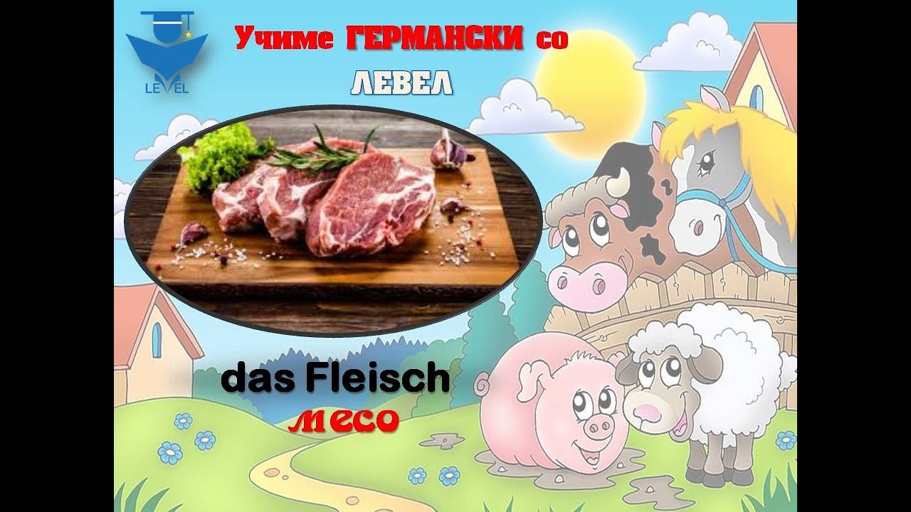 GERMANSKI za pocetnici so LEVEL - Lekcija 8 (Das Fleisch ,Die Lebensmittel)