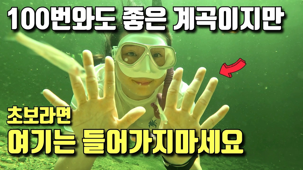 아직 안가봤어요🫨? | 국내 최대수심 다이빙 가능 | 삼척 덕풍계곡 | 계곡트래킹