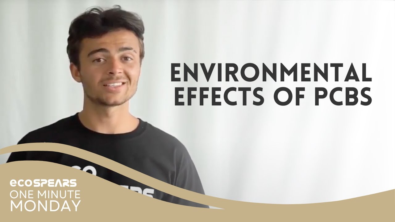 Environmental Effects of PCBs | One Minute Monday