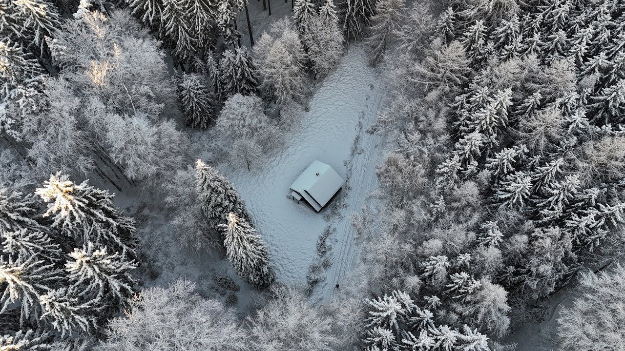 This German Winter Forest Feels Unreal ❄️ Snow Walk & Aerial Views | Frankfurt am Main