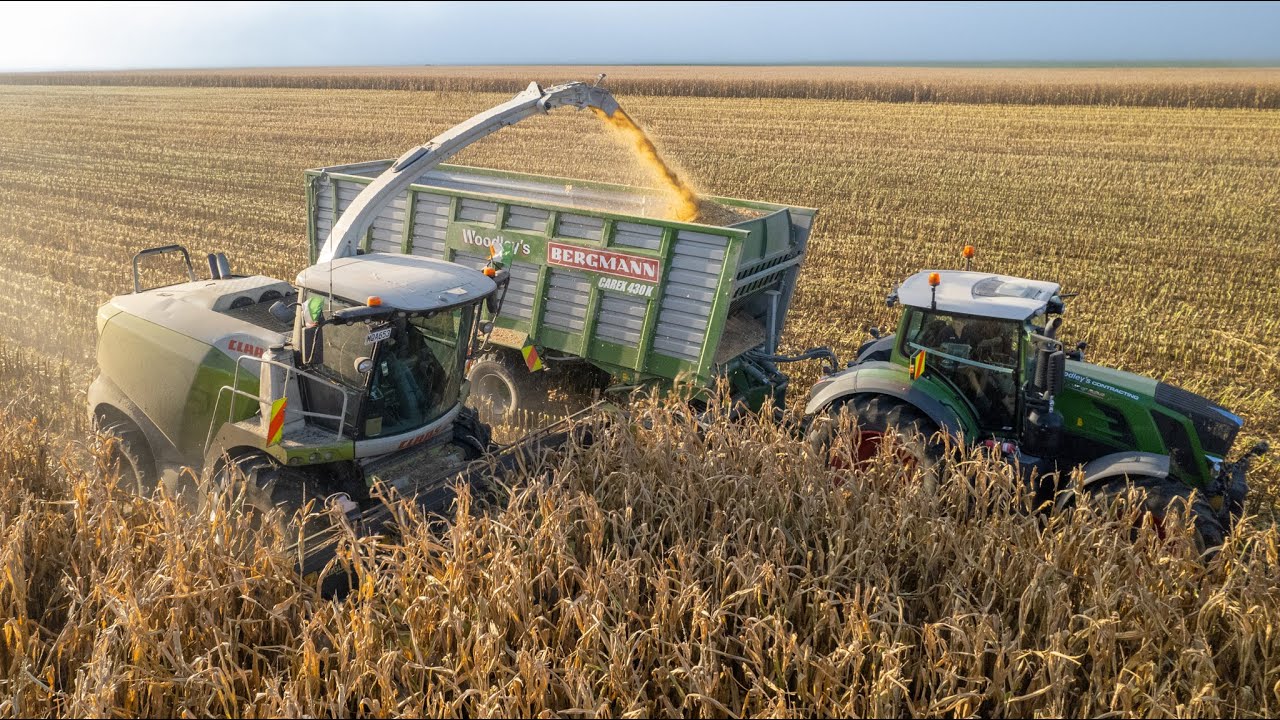 Chopping Earlage Silage | Claas Jaguar 960