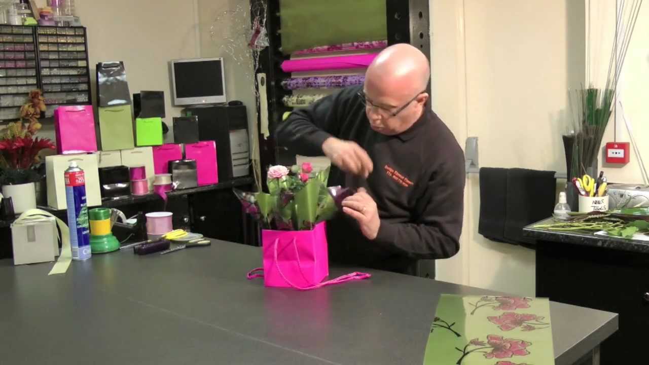 32. Small Rose Plant Gift Wrap