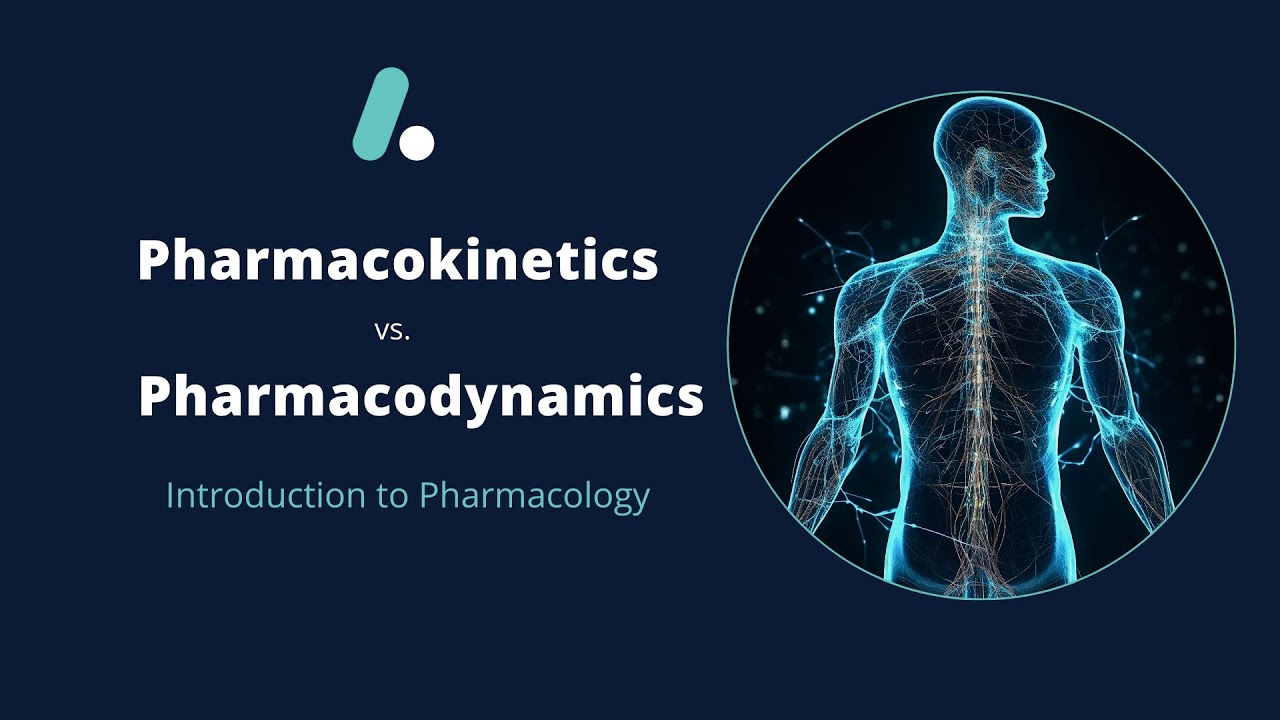 Pharmacokinetics vs Pharmacodynamics Explained | Intro to Pharmacology