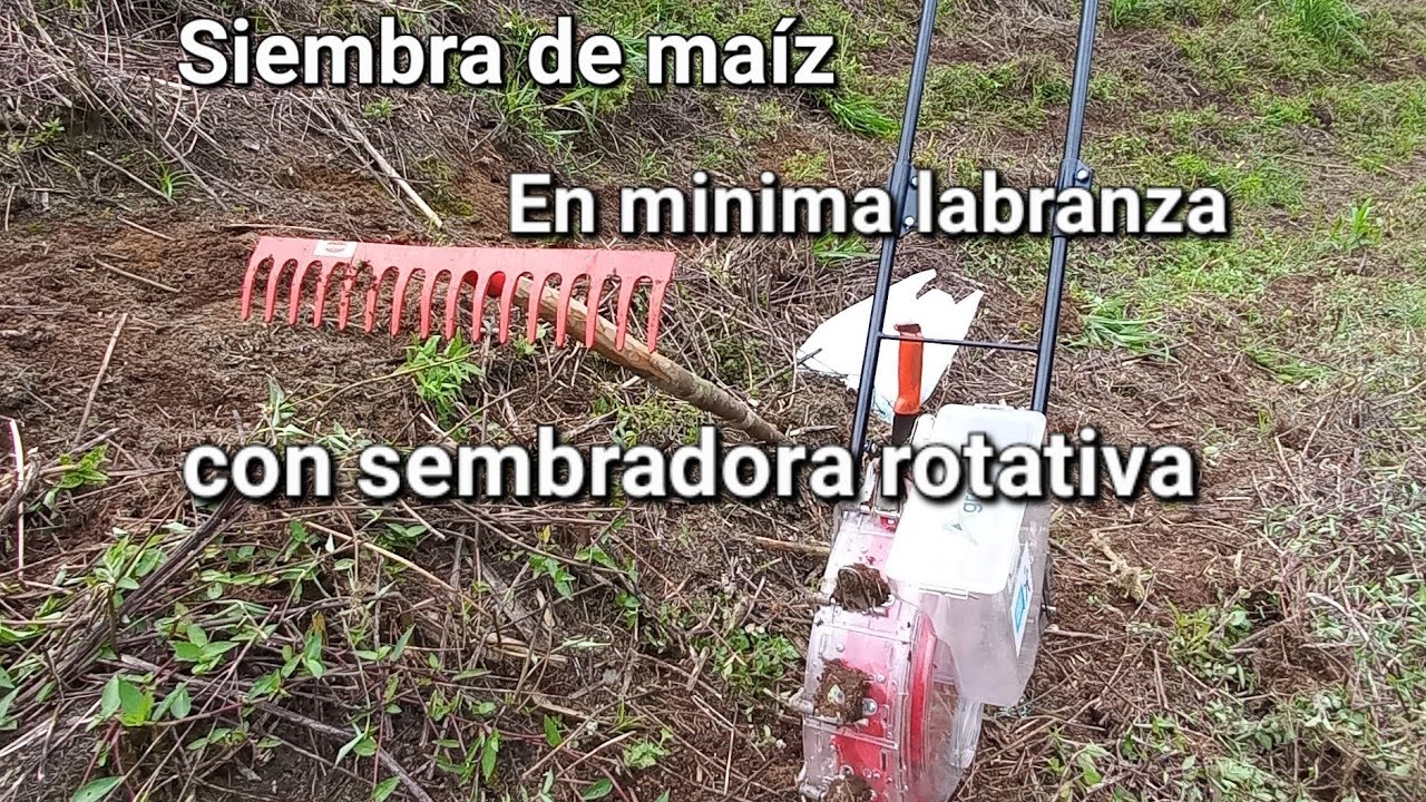 Siembra de maiz sin arar con la sembradora rotativa agrofacil. Rastrillo y sembradora para sembrar
