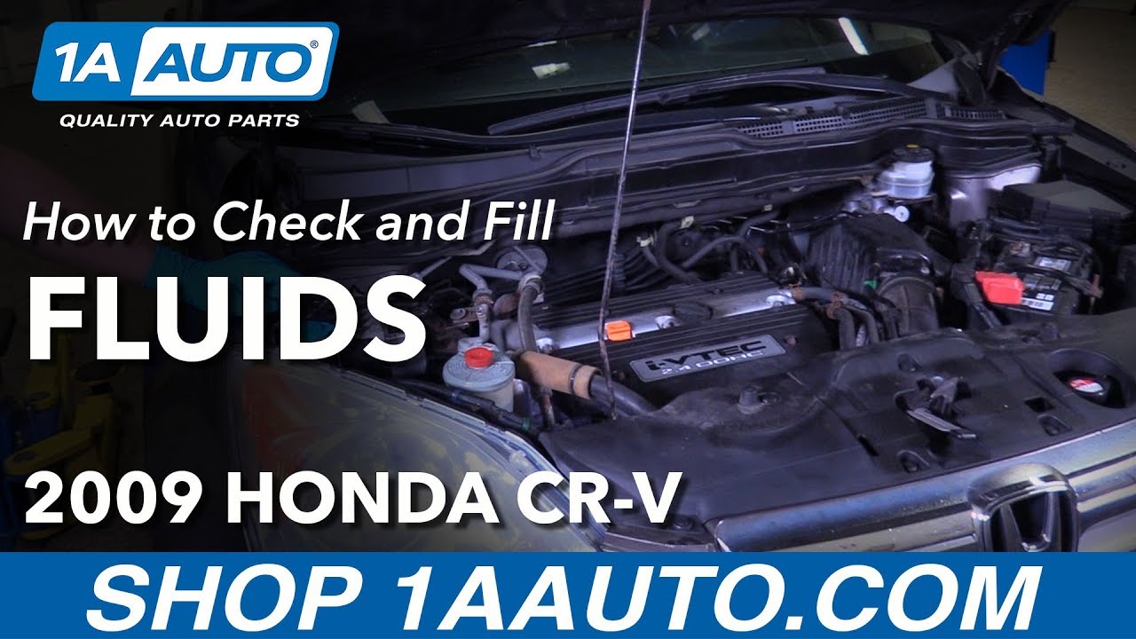 Как проверить и залить жидкости под капотом Honda CR-V 07–11