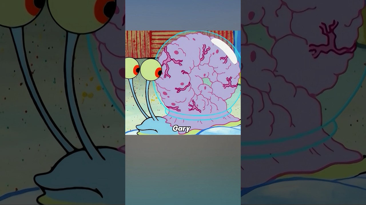 SpongeBob changed a new shell for Gary. #spongebob