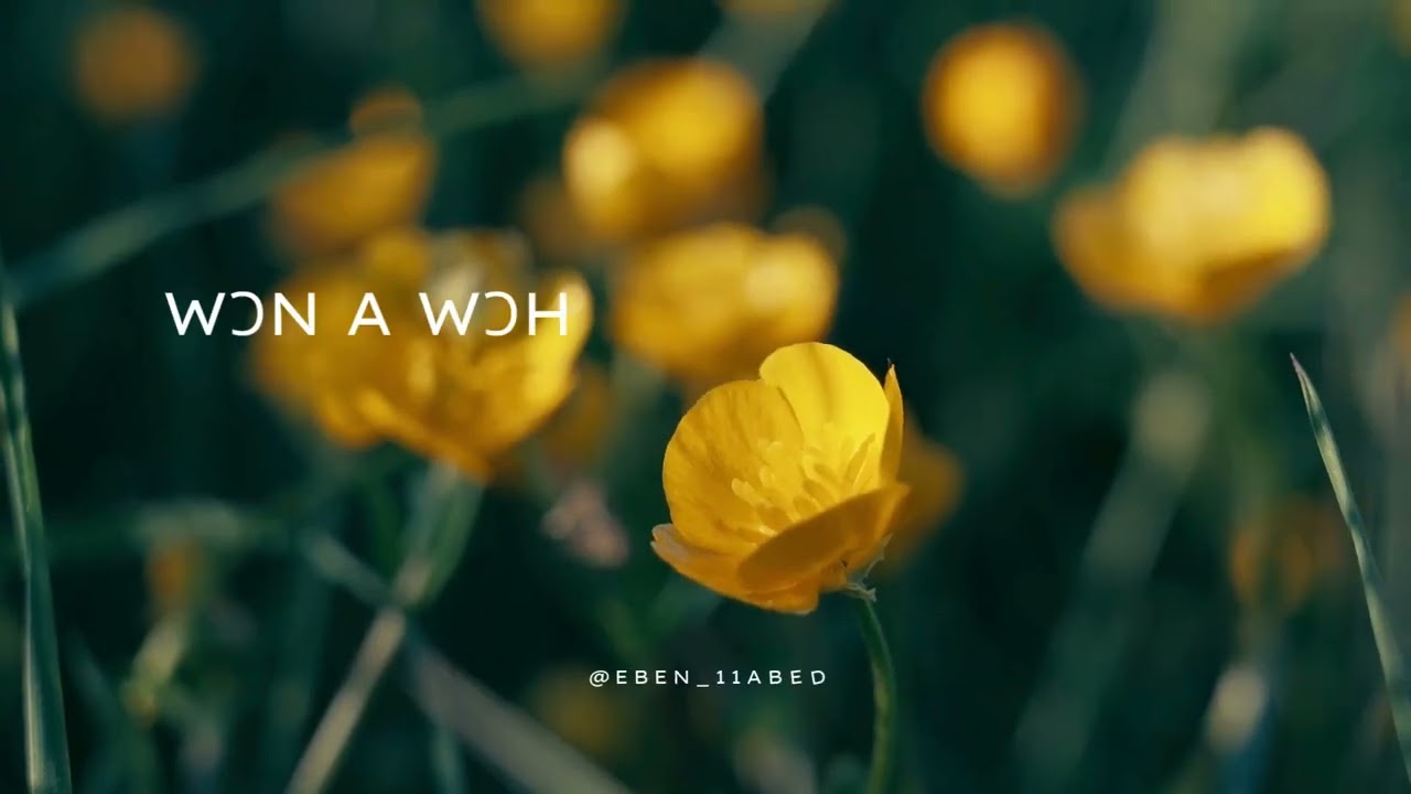 Gyatabruwa Cover