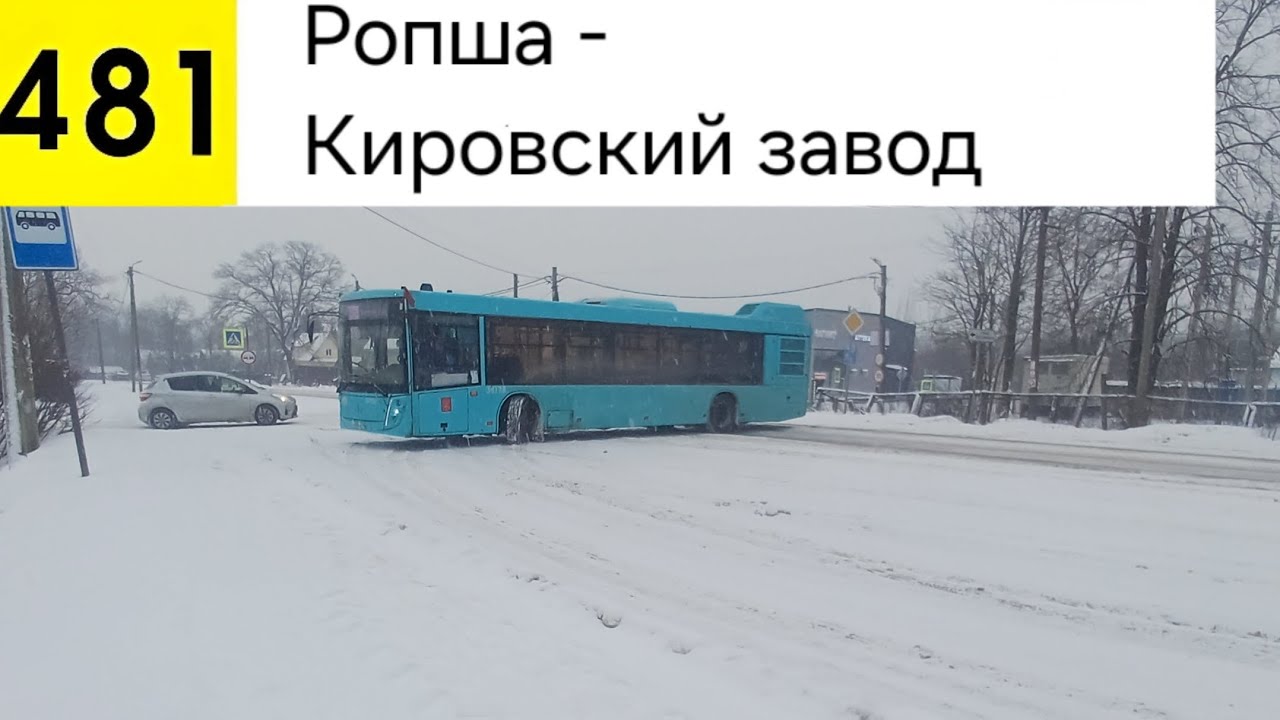 Автобус 481. Ропша - Кировский завод