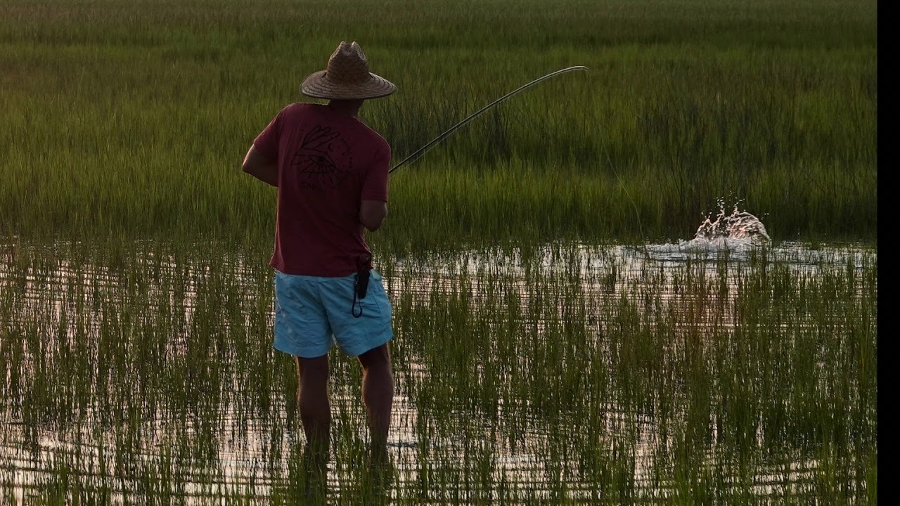 Stalking Lowcountry Tailing Redfish on The Fly!