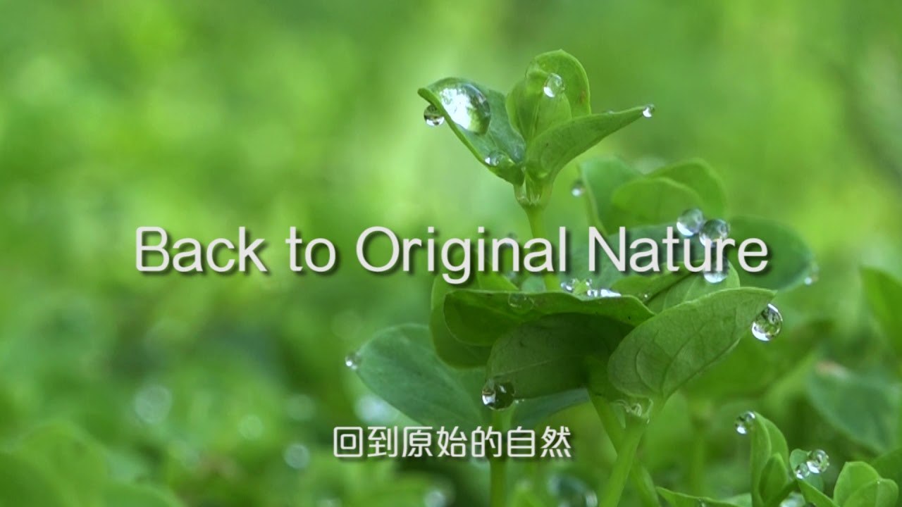璞草園形象影片--傳香篇