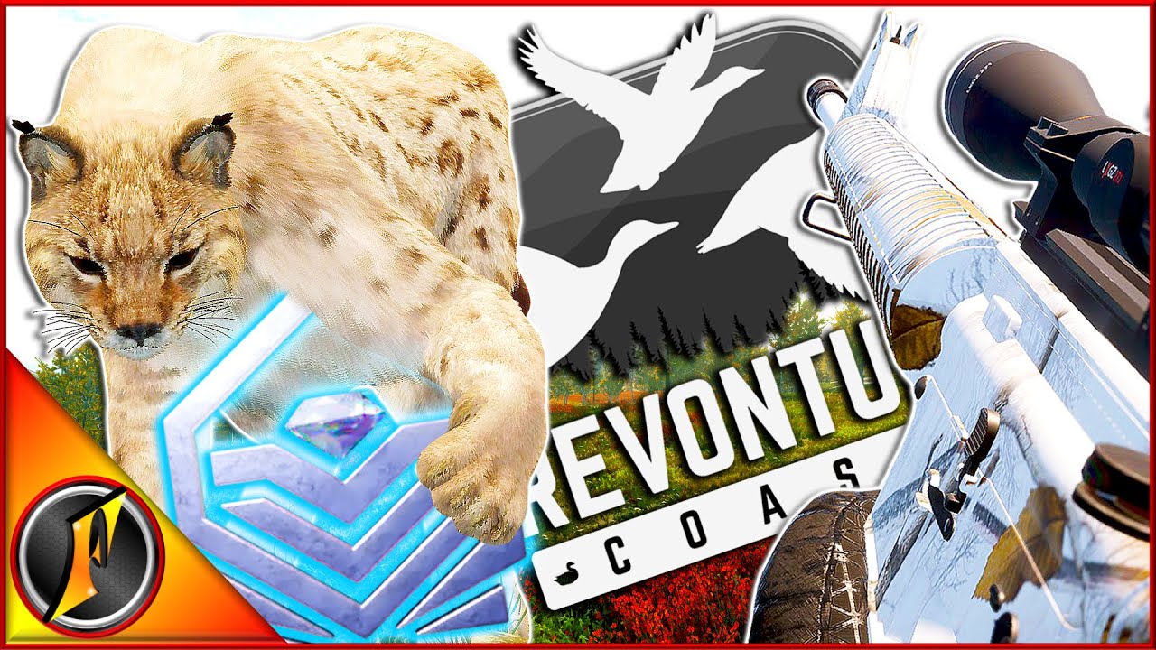 When the WRONG Diamond Shows Up 😂 | Revontuli Coast Hunt!