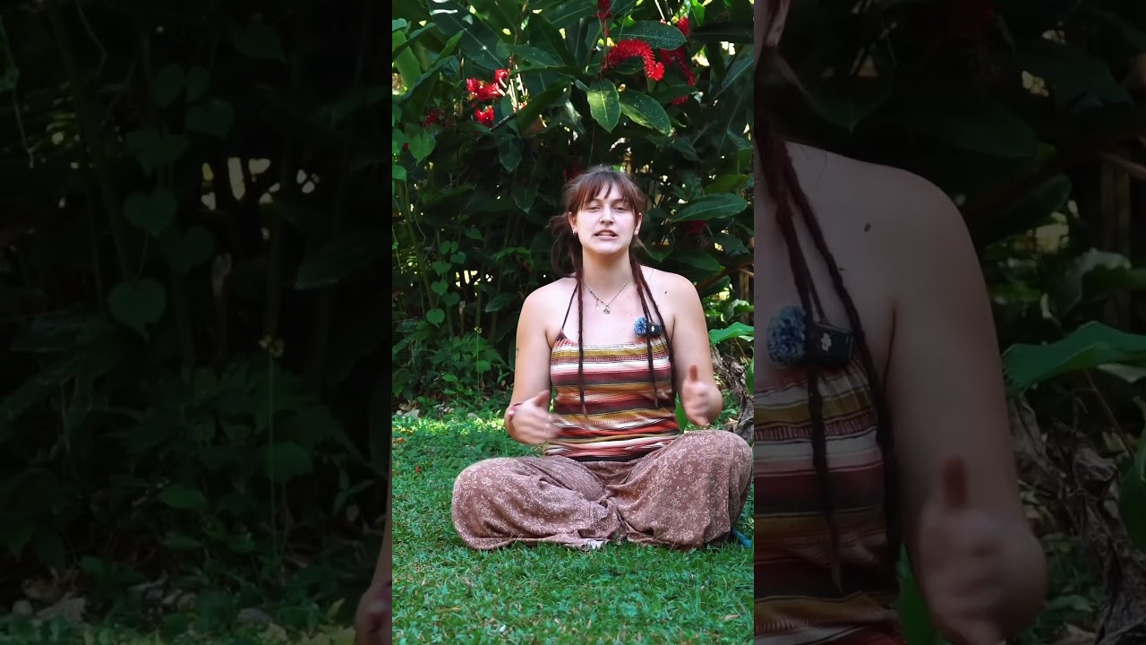 Reflections from Arrya Hicks, a student in Permaculture & Beyond: An Embodied Learning Experience.