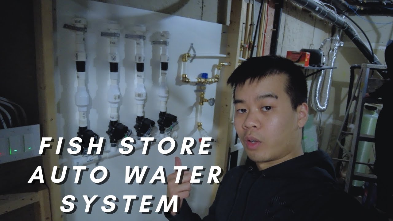 Fish Store DIY Auto Water Change System