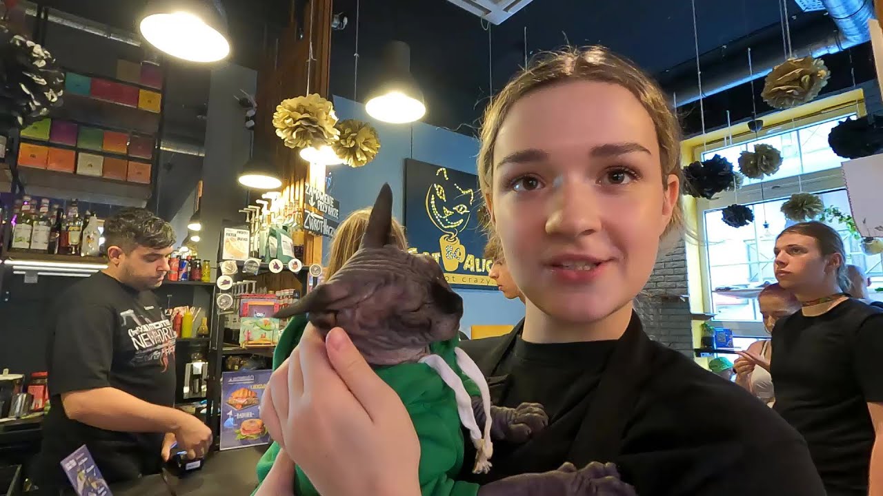 This CAT CAFE in POLAND has Great COFFEE, Food and Cats!