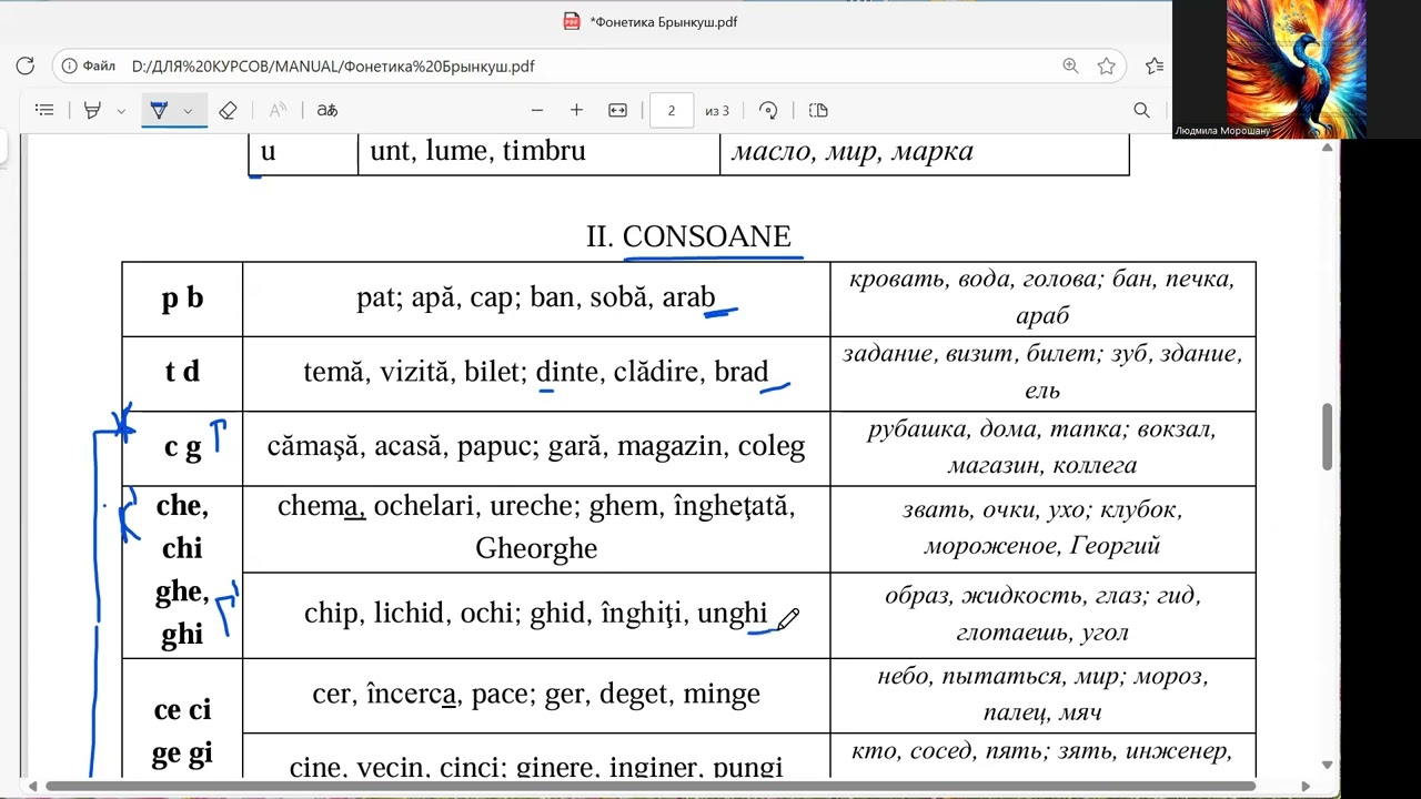 Румынский язык: гласные и согласные. Сочетания CE, CI, GE, GI. Звонкие согласные на конце слова.