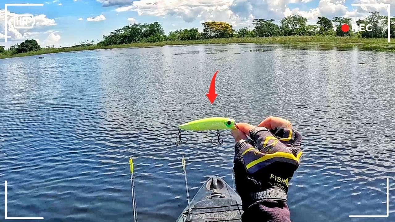 NUNCA VI UMA ISCA PEGAR TANTO PEIXE ASSIM - PESCARIA NO RIO PARANÁ