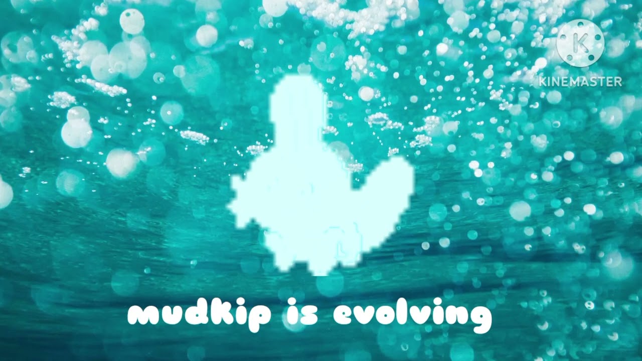 Mudkip evolve into marshtomp