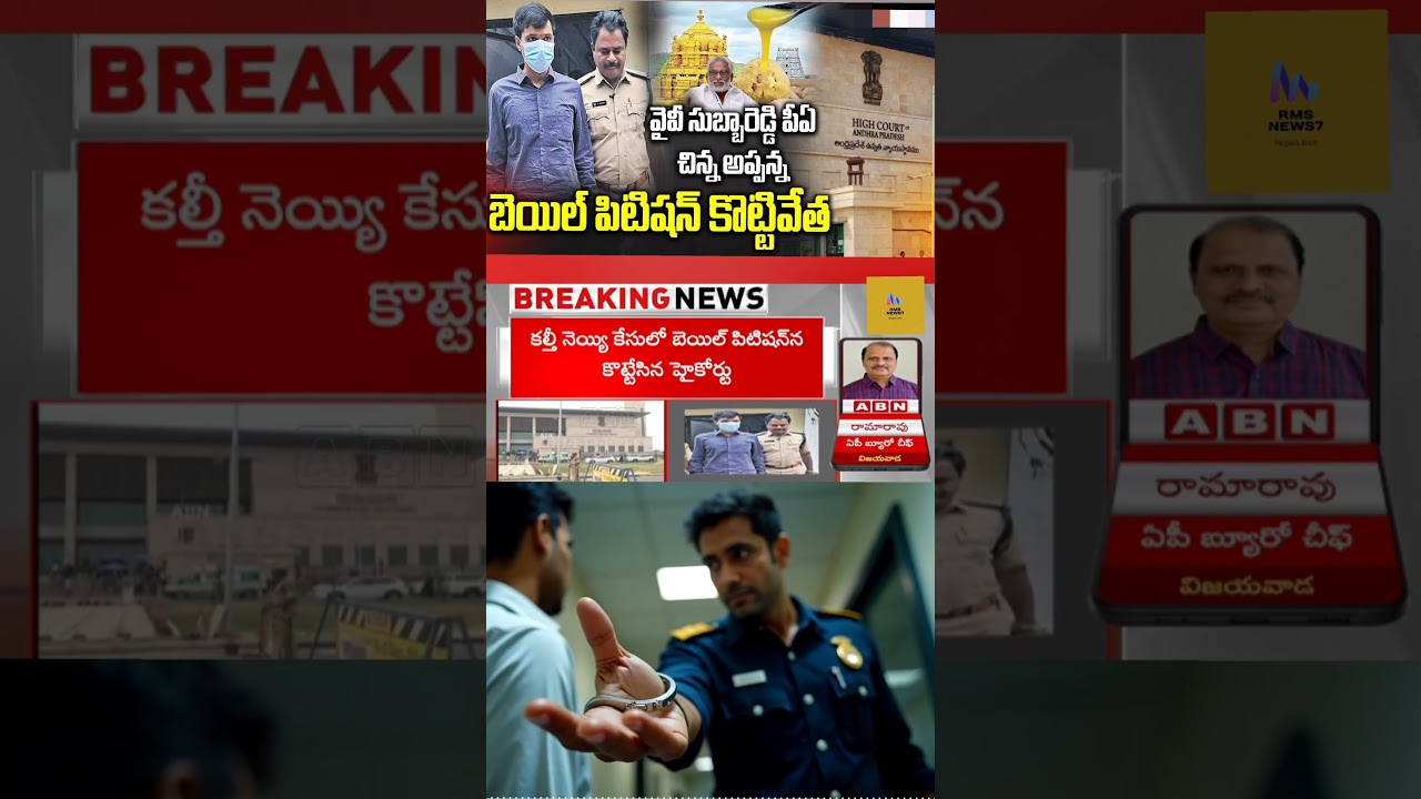 Ghee Adulteration Case : High Court Dismis YV Subbareddy PA Chinna Appanna Bail Petition |