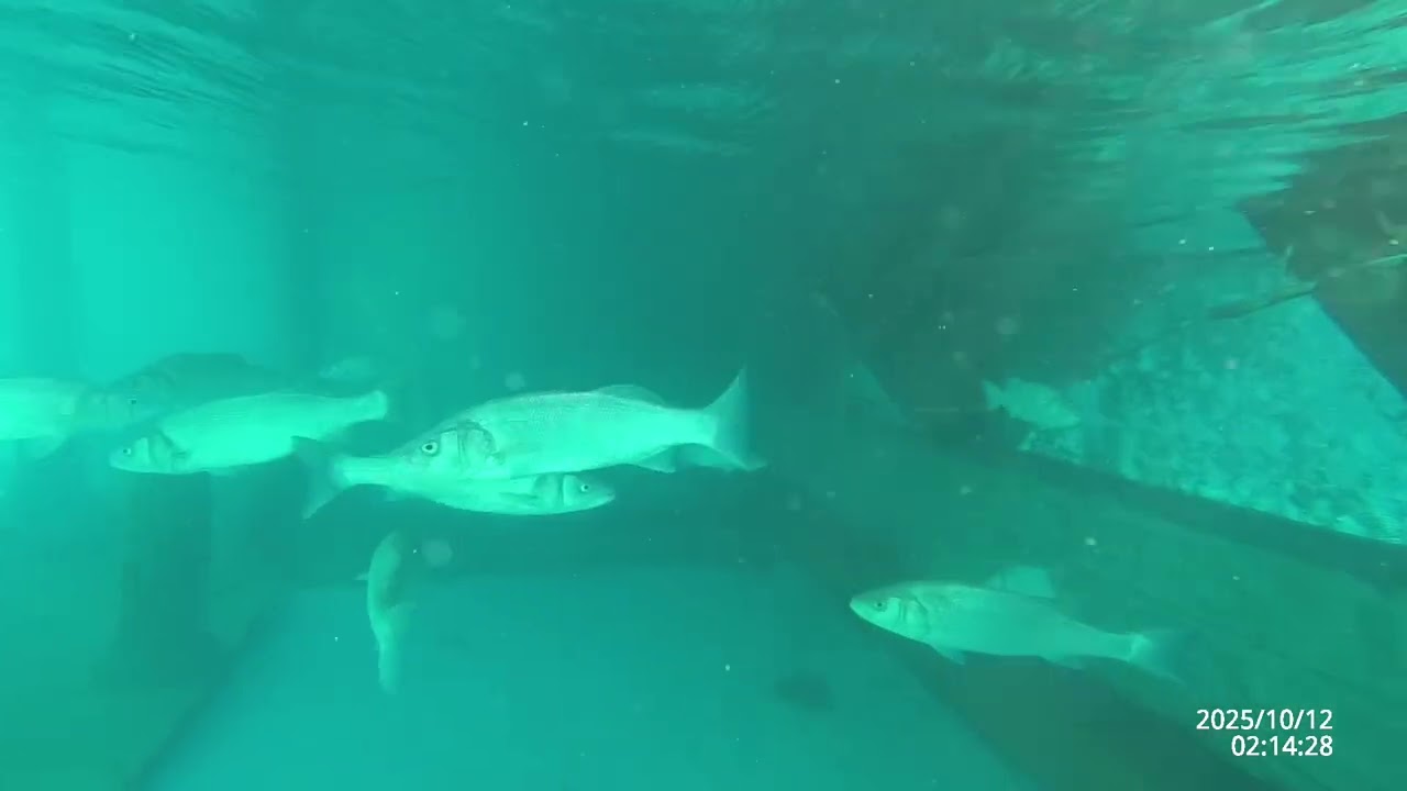 Hotel Miarosa Kemer Beach 