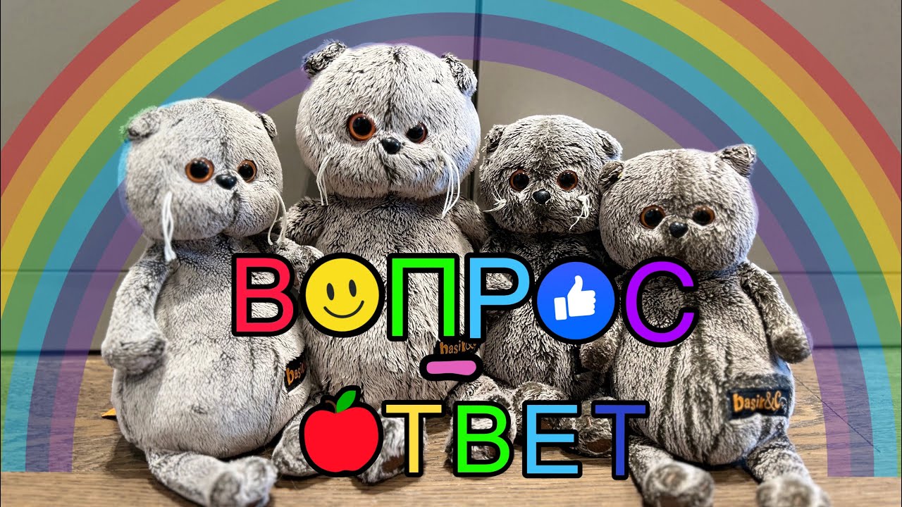 Вопрос-Ответ с Басиками