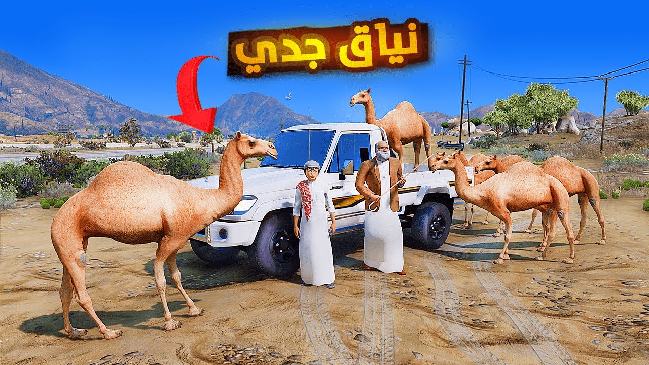 جدي قرر يشتري نياق..🔥😱! | فلم قراند GTA V