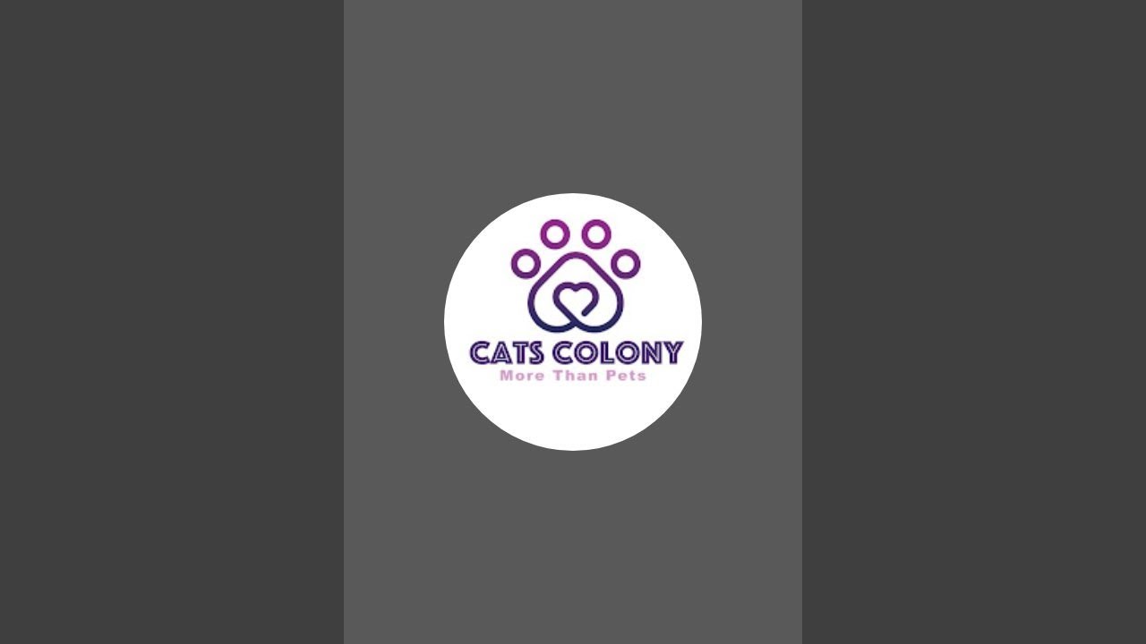 Cats Calony is live!