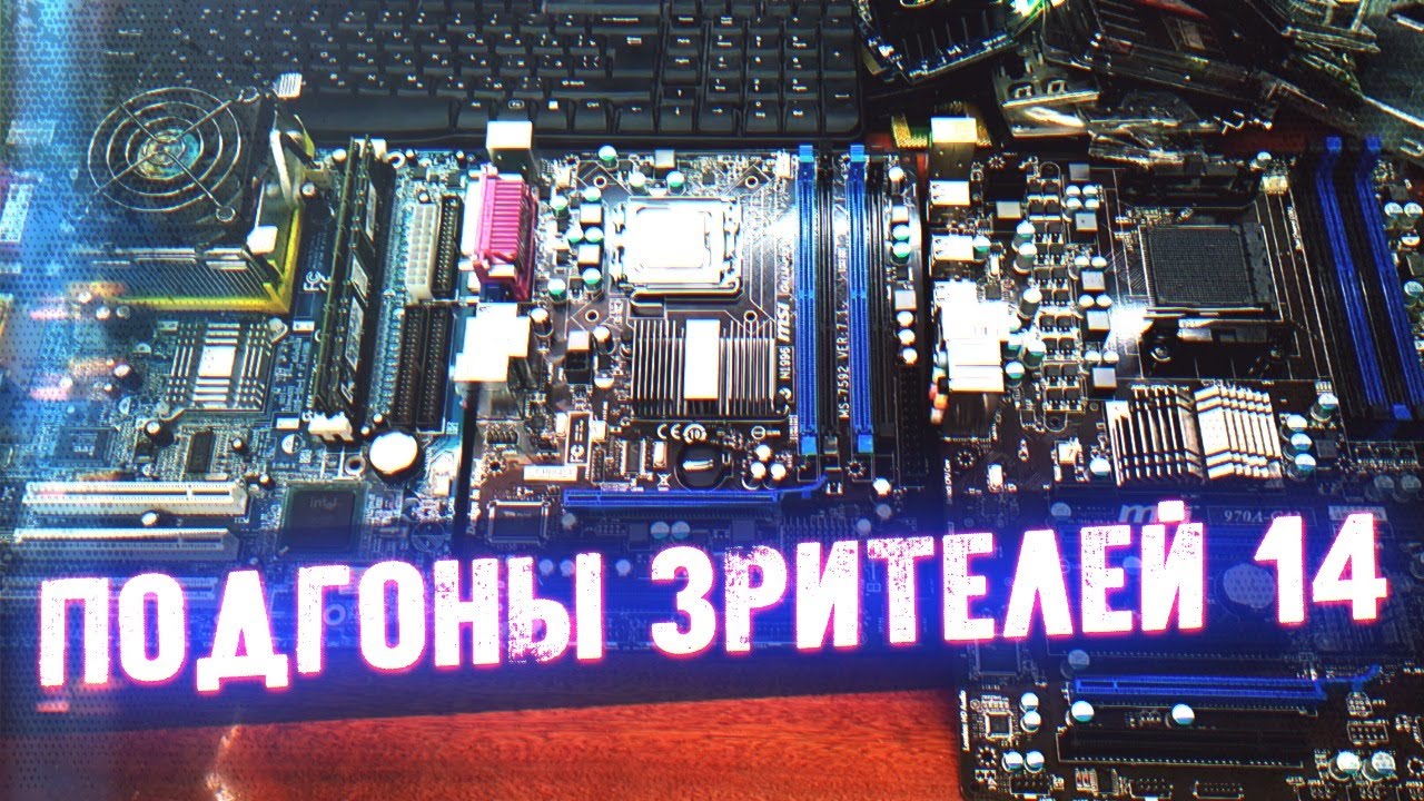 Осенние Подгоны Зрителей