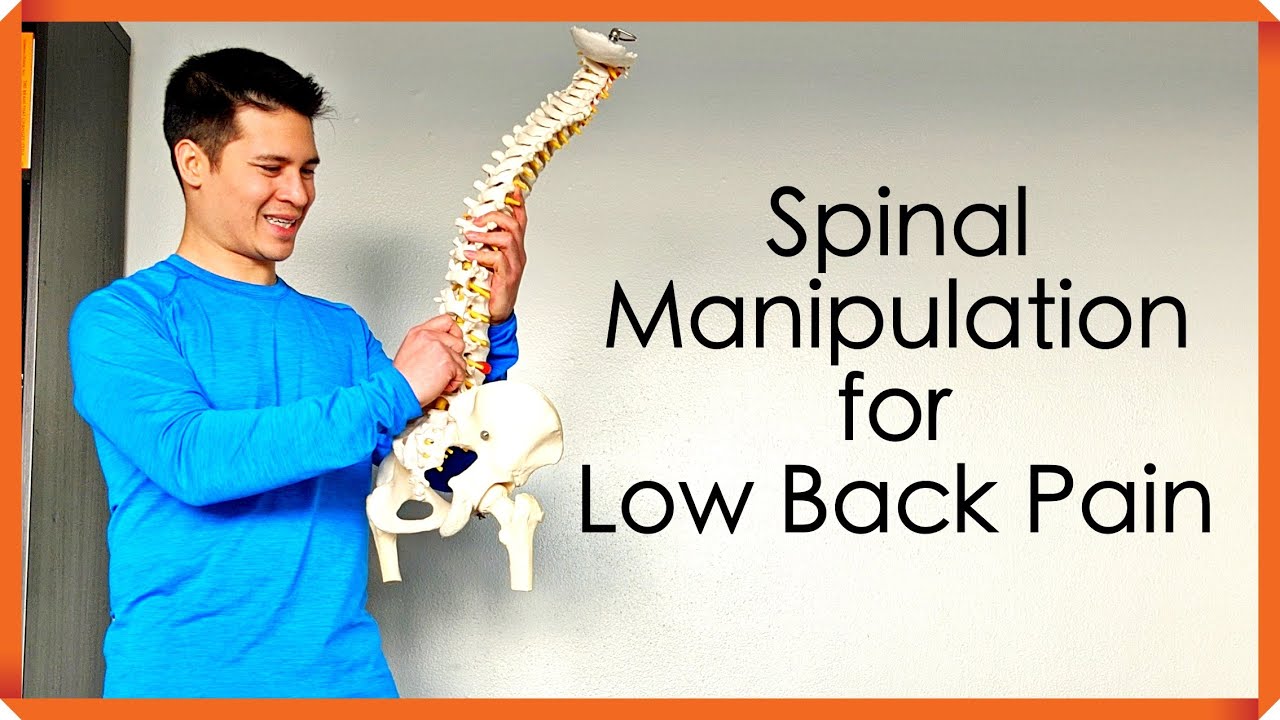 Benefits and Harms of Spinal Manipulative Therapy for Chronic Low Back Pain