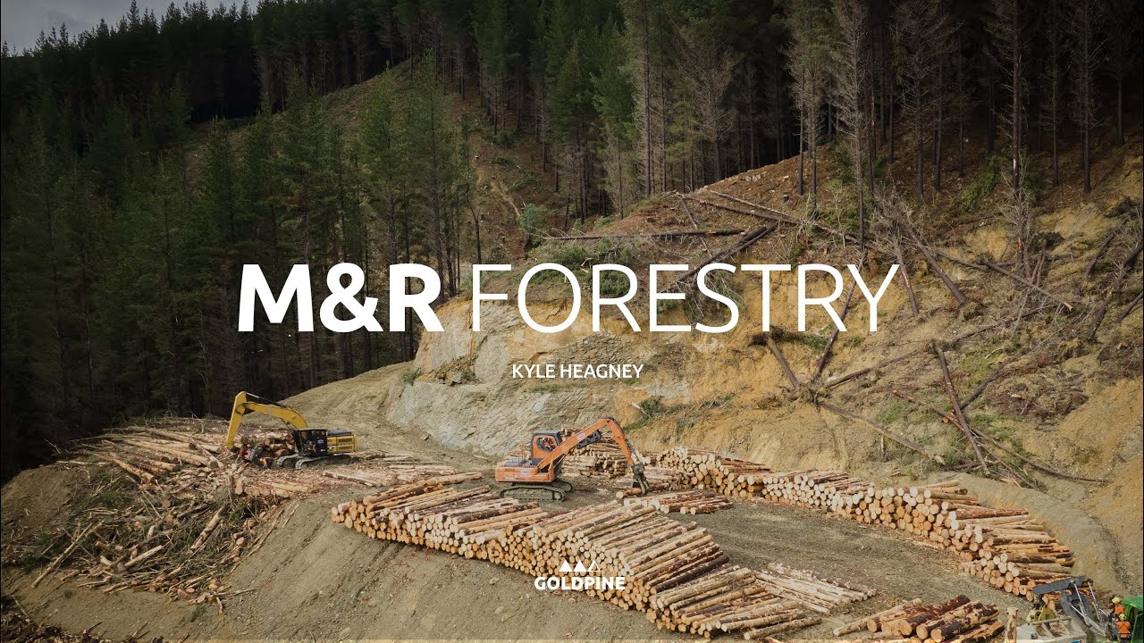 Forests with a Future | M & R Forestry