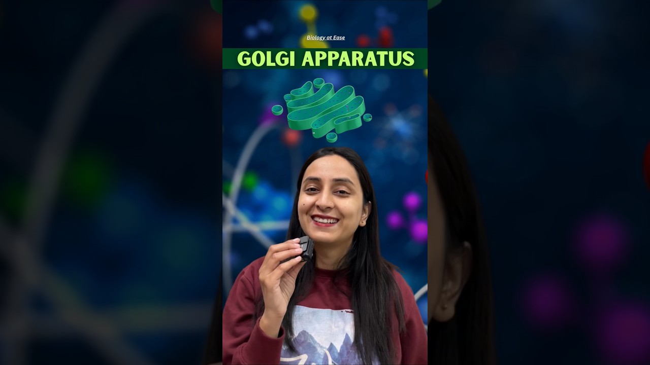 Golgi apparatus: Structure & Functions #shorts #neet #biology #study #ytshorts #class11 #exam #yt