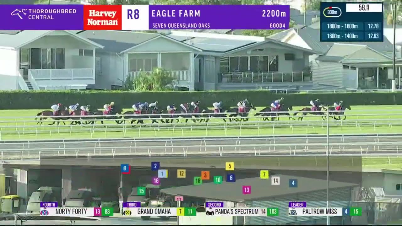 Queensland Oaks 2026 &mdash; FIREBALL MISS (3YO SW G1 F) Group 1 Игл-Фарм, 6 июня