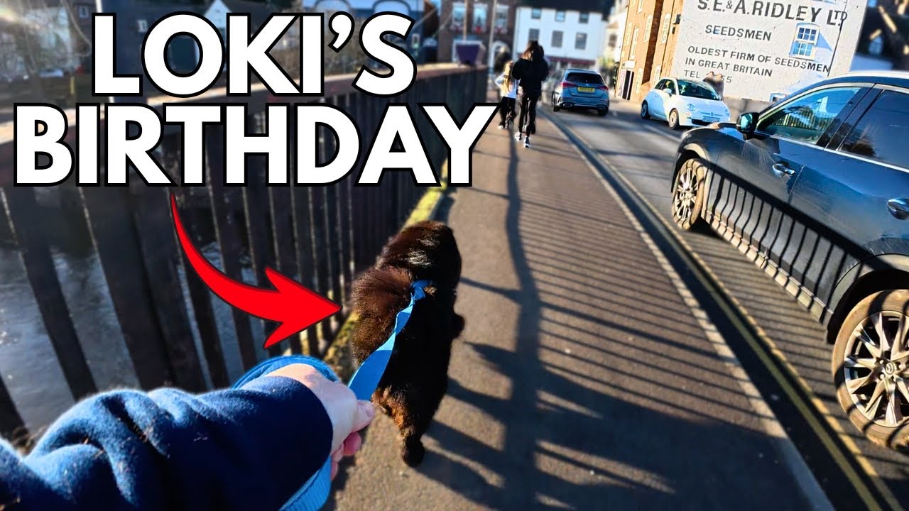 Celebrating Our Dogs Birthday And Taking Him SHOPPING!