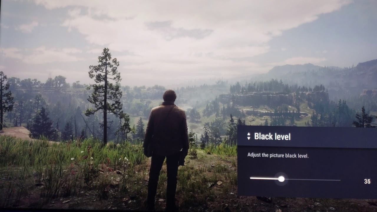 RED DEAD REDEMPTION 2 HDR SONY 900E GAME MODE SETTINGS