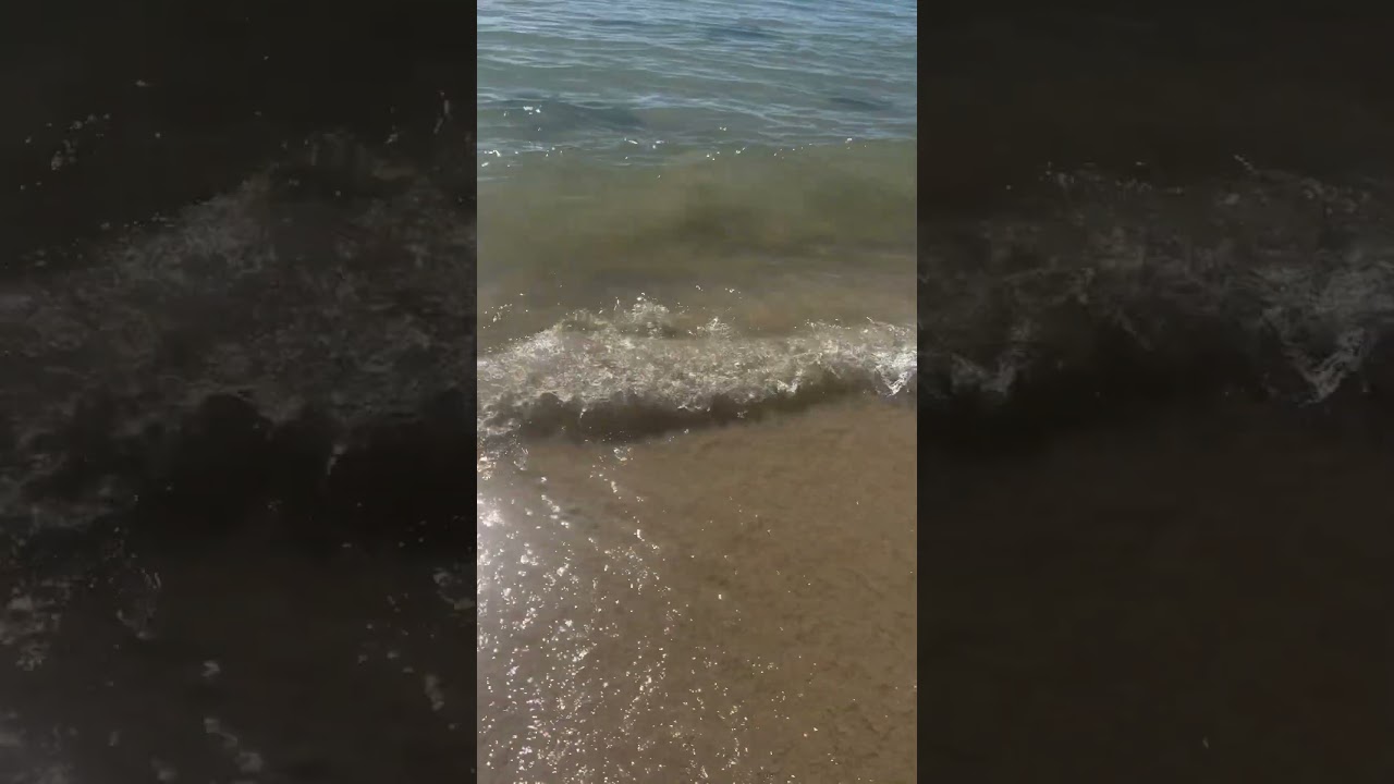 Beach Life