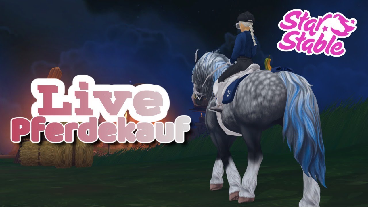 Pferdekauf | Live | Server 17 Mit  @Fanni Summerforest  und  @Ravy  - Star Stable