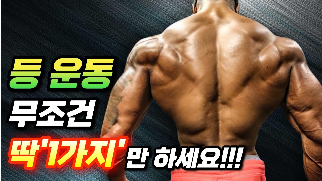 등운동은 '1가지'만 잘해도 '등 상부' '광배근' 전부 다 커집니다. 꼭 이렇게 운동 하세요!!