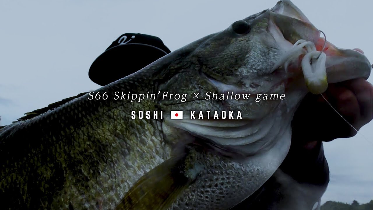 夏のシャロー攻略メソッド BLACKART S66 Skippin'Frog