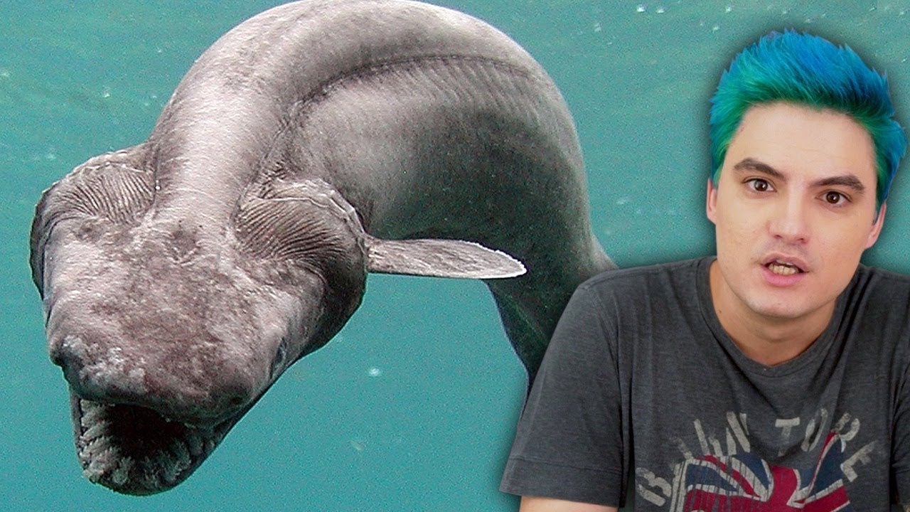 MONSTROS DO FUNDO DO MAR QUE EXISTEM DE VERDADE [+10]